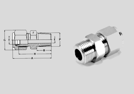 Double Ferrule Male Connector Exporter