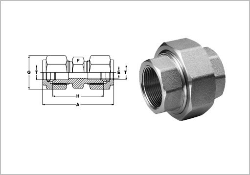 Double Ferrule Union Exporter