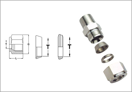 Double Nuts and Ferrule Fittings Exporter