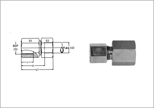 Flareless Female Connector Exporter