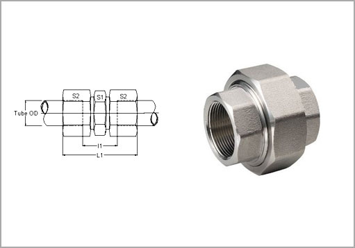 Flareless Union Fittings Exporter